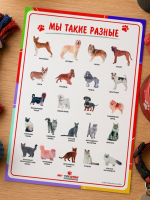 Обложка Плакат